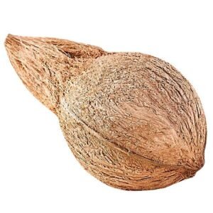 Desi coconut medium size 1 pc approx 400 450g price