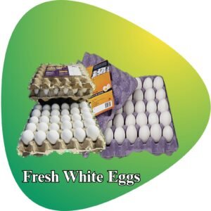 White Eggs Dinasi Store